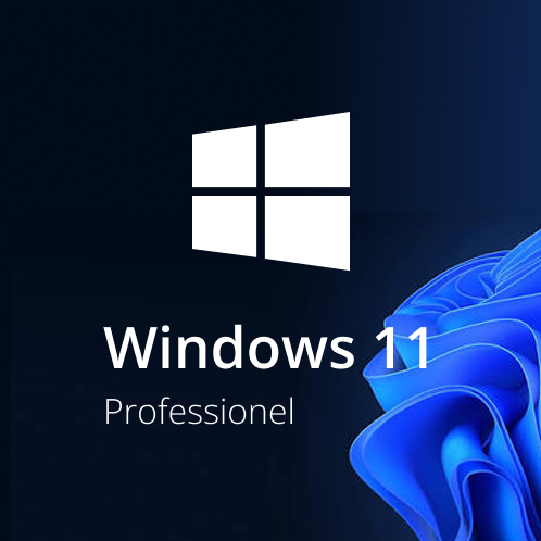 Windows 11 Pro